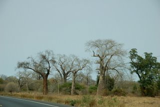 Strae in den Tsavo