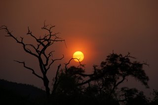 Sonnenaufgang im Sambur National Reserve