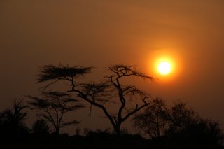 Sonnenaufgang am Schokoladenfluss im Samburu