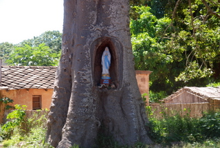 Madonna im Baum