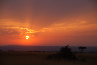 Sonnenaufgang ber dem Mara triangle
