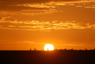 Sonnenaufgang in der Maasai Mara