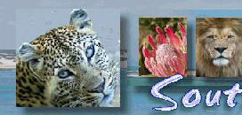 Southerndreams - Travel Stories from Southernmost Africa
