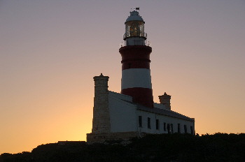 Picture (c) BeeTee Bredasdorp
