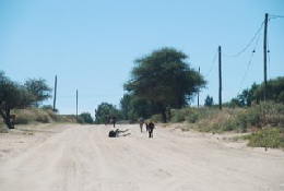 Picture (c) BeeTee - Botswana - Gaborone