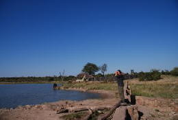 Picture (c) BeeTee - Hwange NP - Deteema Dam