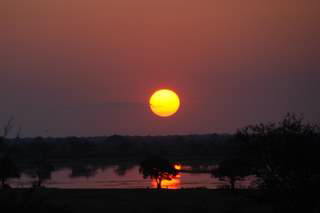 Picture (c) BeeTee - Botswana - Chobe Riverfront
