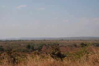 Picture (c) BeeTee - Kgalagadi Transfrontier National Park - Gnu an der D�ne