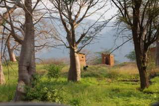 Pictures (c) BeeTee - Tansania - Baobab Valley Camp