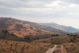 Pictures (c) BeeTee - Malawi - Nyika Plateau