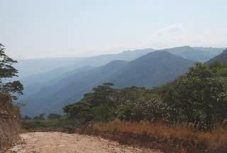 Pictures (c) BeeTee - Malawi - Nyika Plateau - Bambus-Hngebrcke