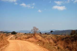 Pictures (c) BeeTee - Malawi - Nyika Plateau - Bambus-Hngebrcke
