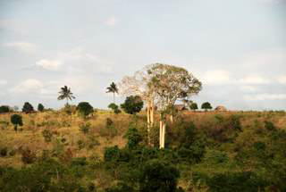 Pictures (c) BeeTee - Tansania - Daressalam - Dar es Salam - Moshi - Arusha
