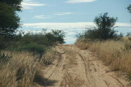 Picture (c) BeeTee - Botswana - Mabuasehube Trail