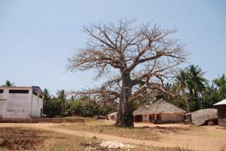 Pictures (c) BeeTee - Mosambik - Ilha de Mocambique - Fim do Mundo - Pebane