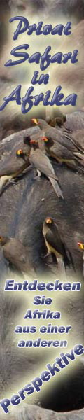 Webebanner-120x600-Buffalo