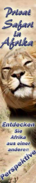 Webebanner-120x600-Lion