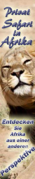Webebanner-120x600-Lion
